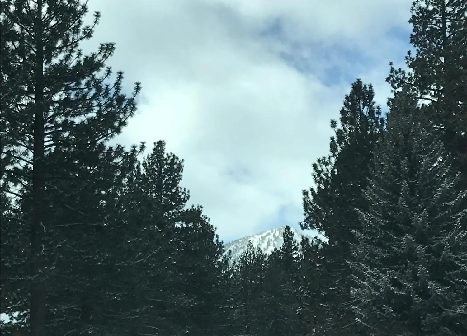 Holiday home Mountainback #105, Loft, Den Villa Mammoth Lakes